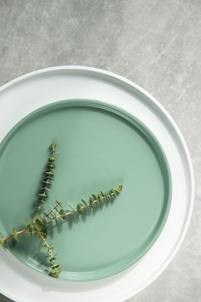 Тарелка обеденная Dovbysh Porcelain NOVA Green 32 см зеленая 100111 фото